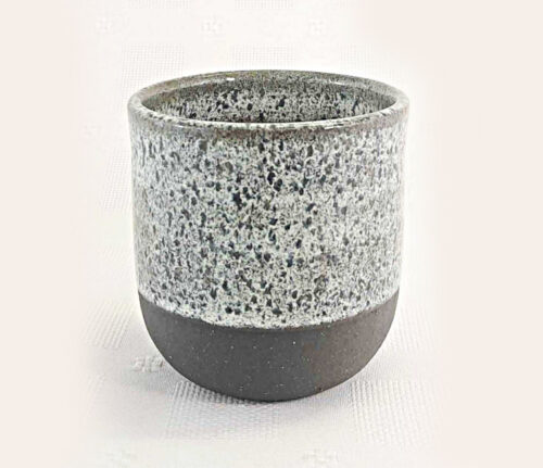 Night Sky Tumbler
